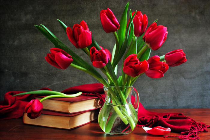 Hoa-tulip-do